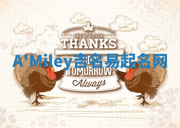 A'Miley吉名易起名网