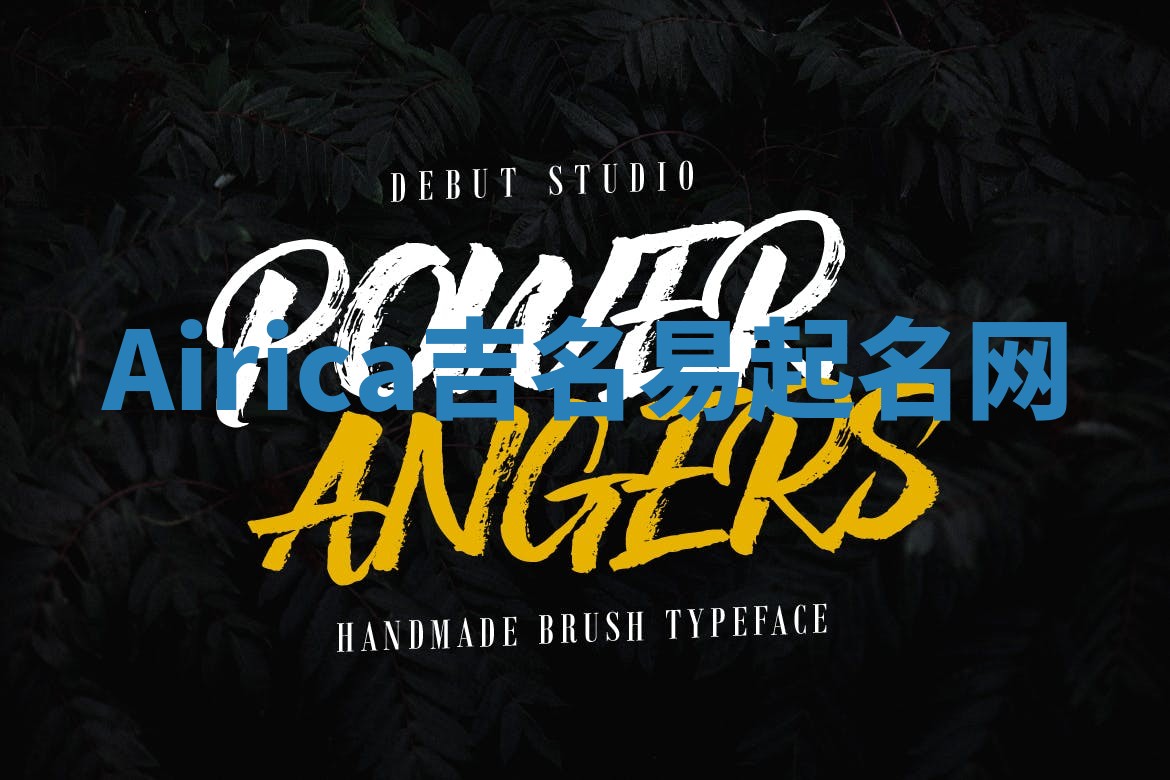 Airica吉名易起名网