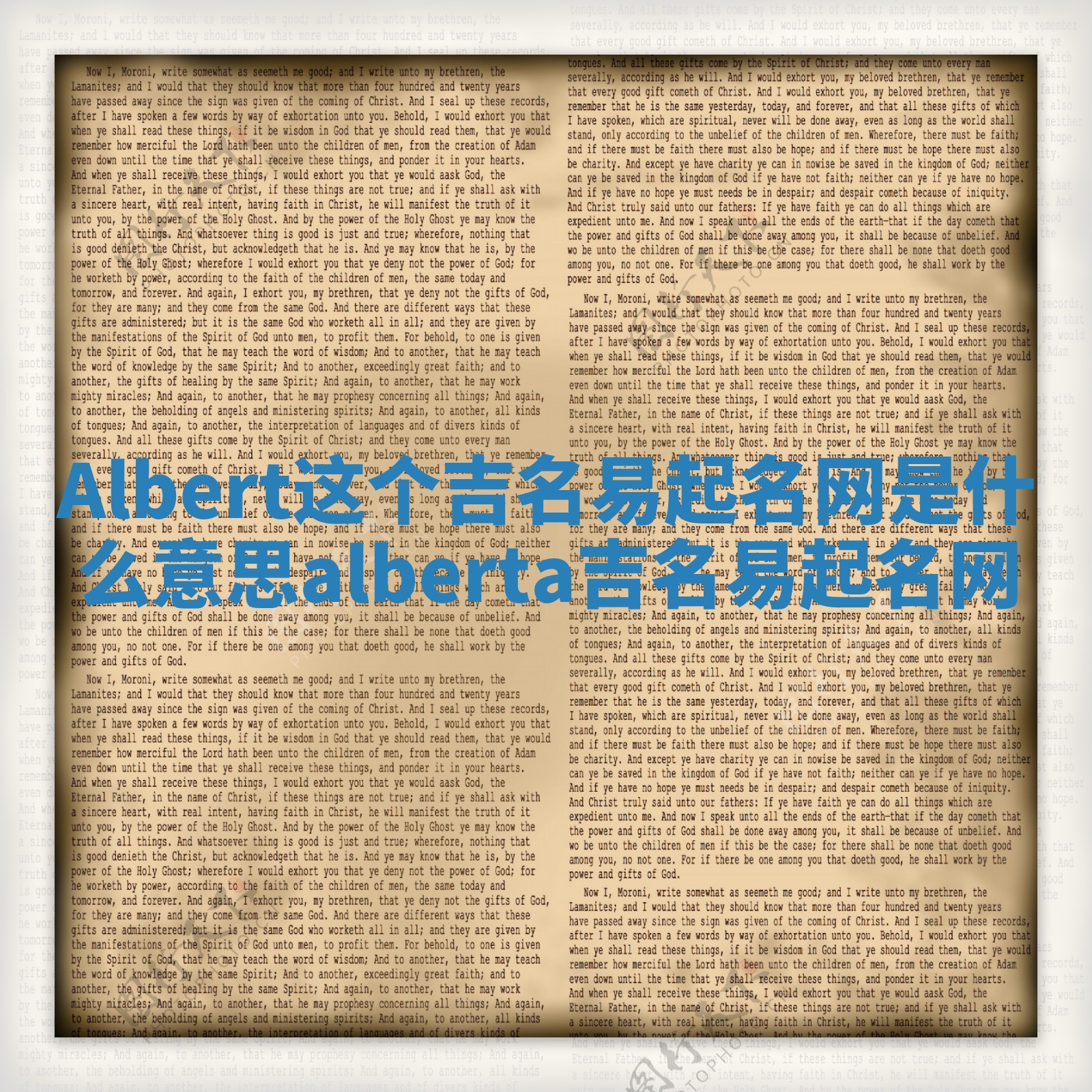 Albert这个吉名易起名网是什么意思_alberta吉名易起名网