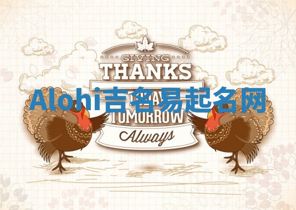Alohi吉名易起名网