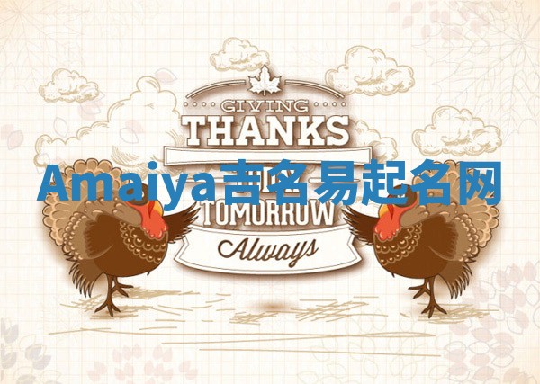 Amaiya吉名易起名网