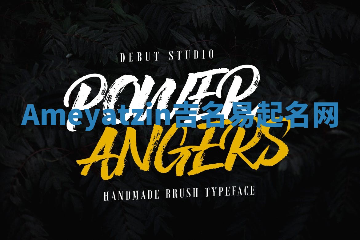 Ameyatzin吉名易起名网