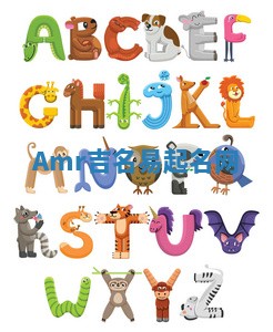 Amr吉名易起名网