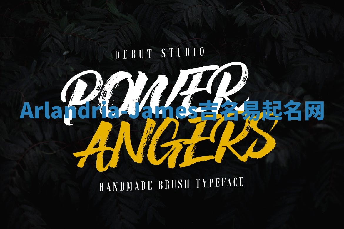 Arlandria-James吉名易起名网