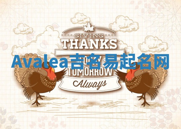 Avalea吉名易起名网