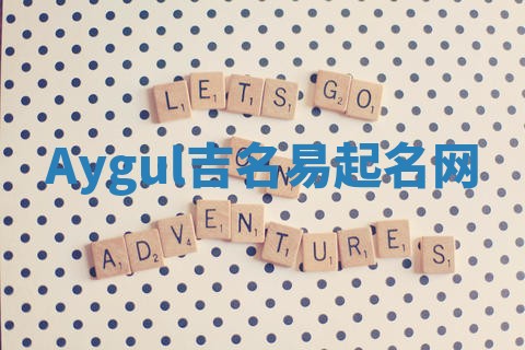 Aygul吉名易起名网