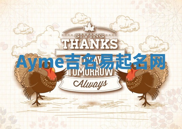 Ayme吉名易起名网