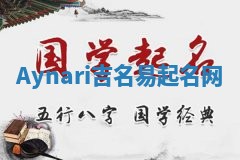 Aynari吉名易起名网