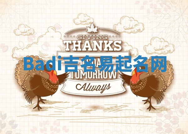 Badi吉名易起名网