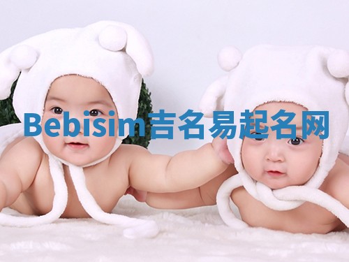 Bebisim吉名易起名网