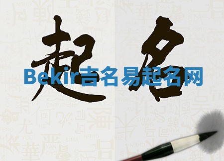 Bekir吉名易起名网