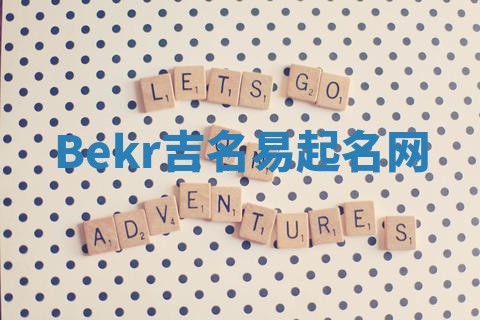 Bekr吉名易起名网