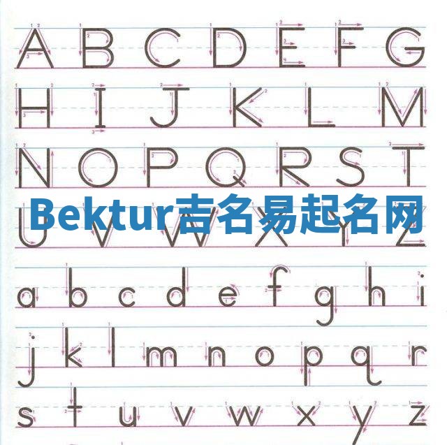 Bektur吉名易起名网