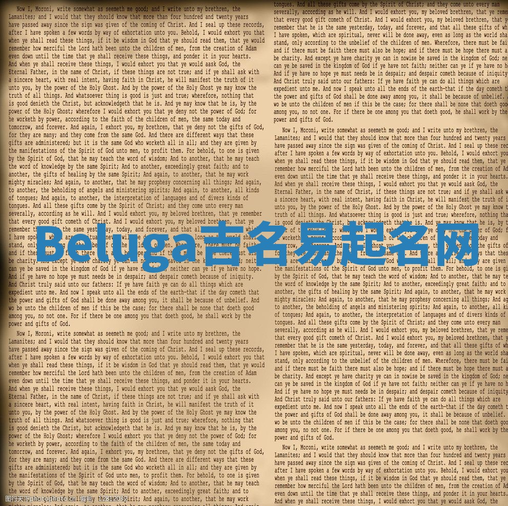 Beluga吉名易起名网