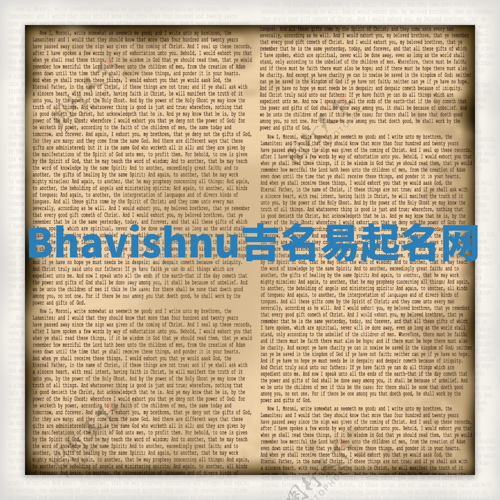 Bhavishnu吉名易起名网