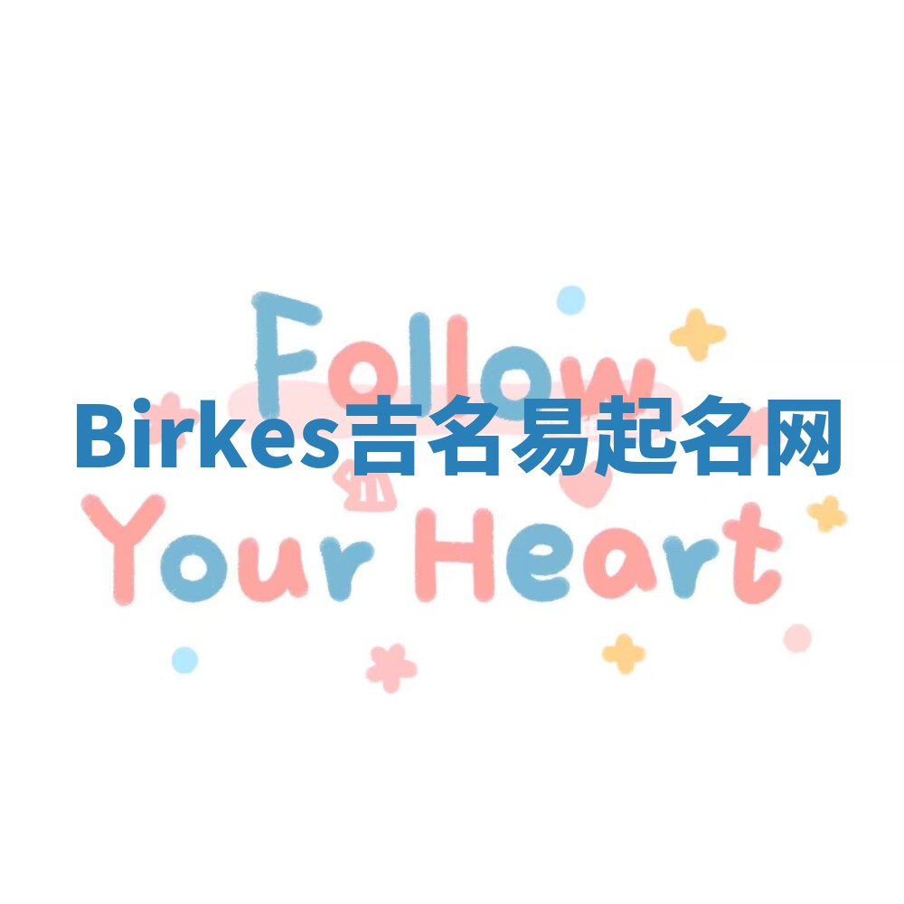 Birkes吉名易起名网