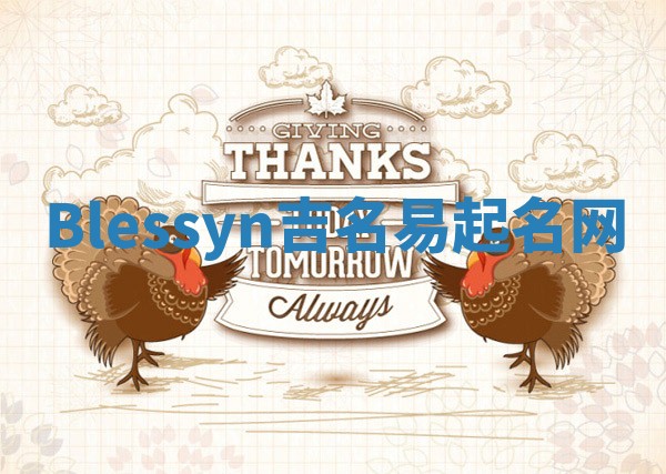 Blessyn吉名易起名网