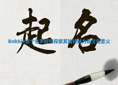 Bobbie这个名字好吗探索其独特魅力和文化意义