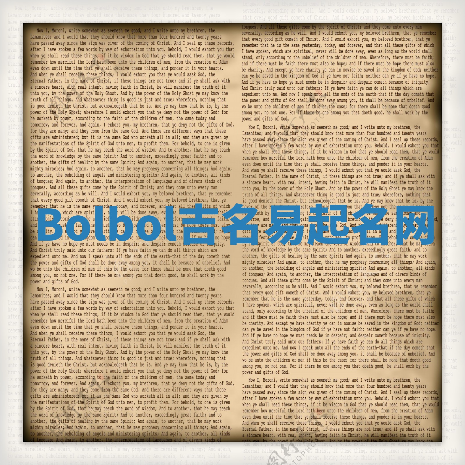 Bolbol吉名易起名网