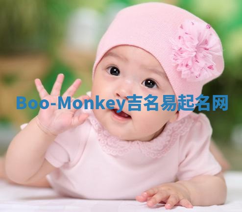 Boo-Monkey吉名易起名网