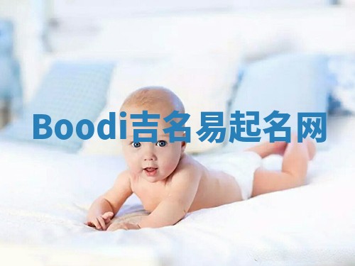 Boodi吉名易起名网