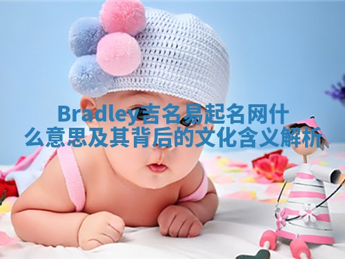 Bradley吉名易起名网什么意思及其背后的文化含义解析