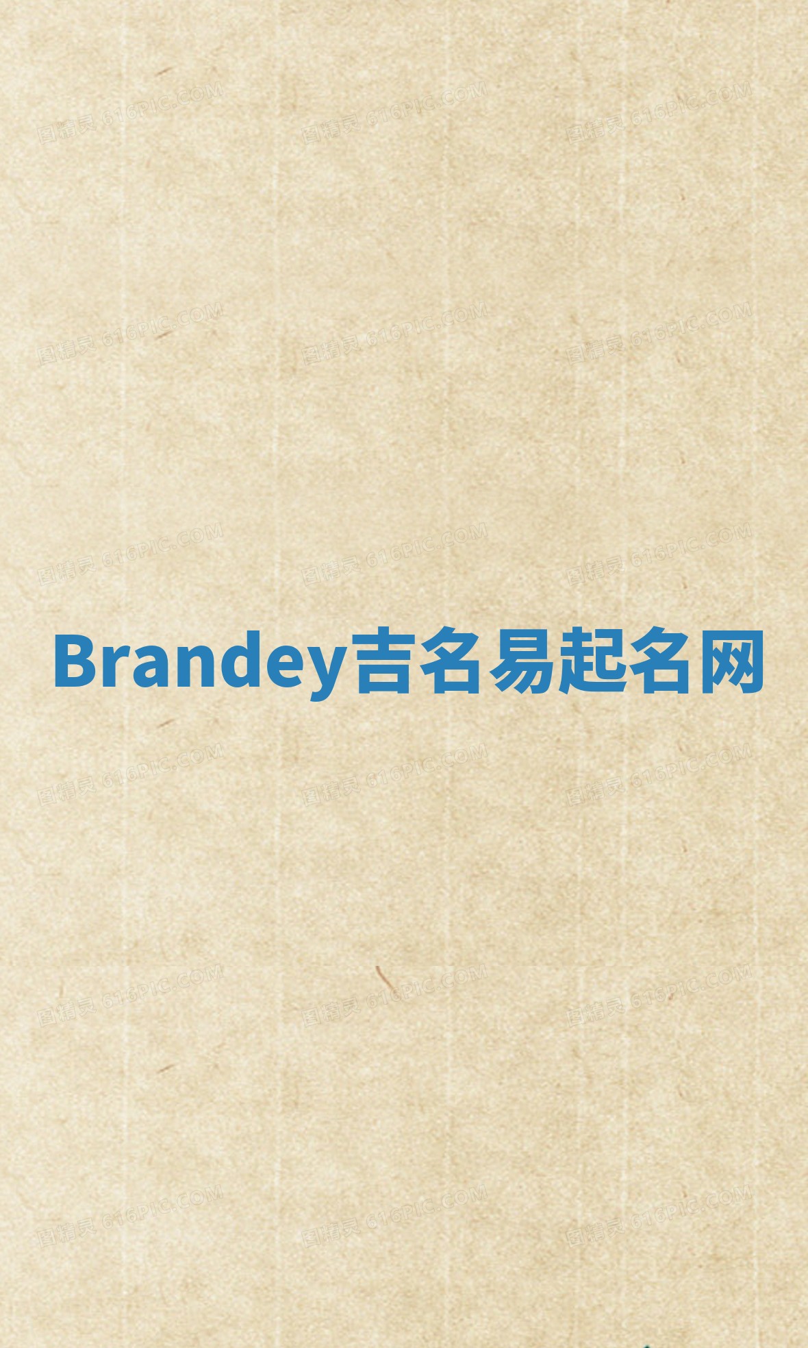 Brandey吉名易起名网