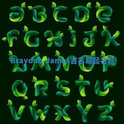 Braydon-James吉名易起名网