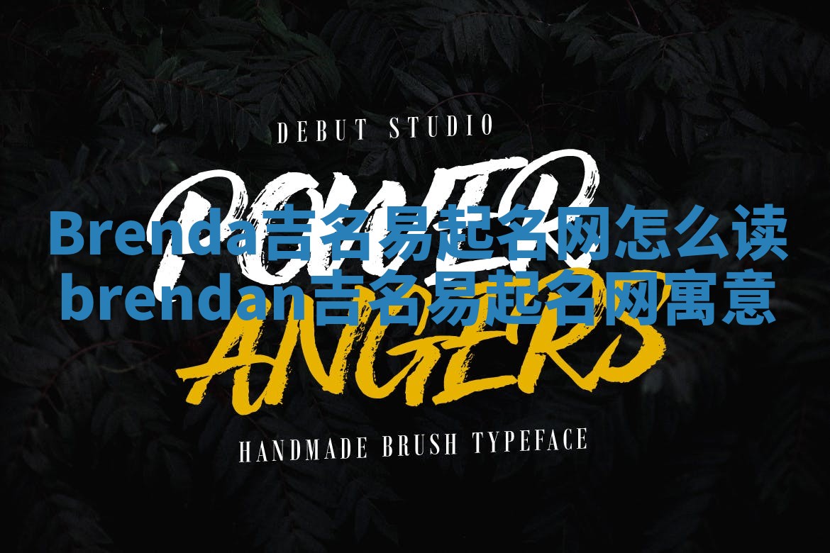 Brenda吉名易起名网怎么读_brendan吉名易起名网寓意