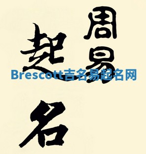 Brescott吉名易起名网