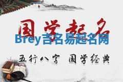 Brey吉名易起名网