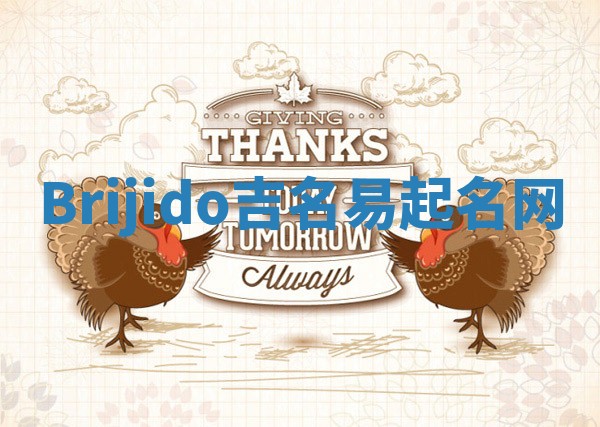Brijido吉名易起名网