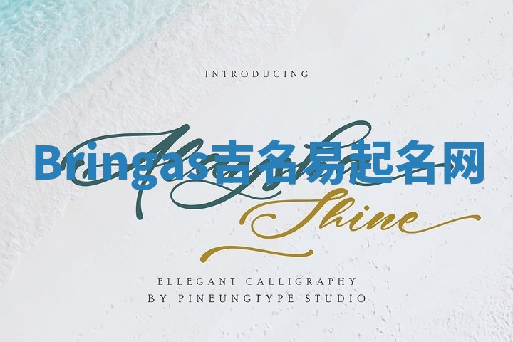 Bringas吉名易起名网