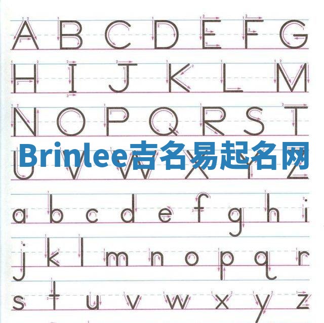 Brinlee吉名易起名网