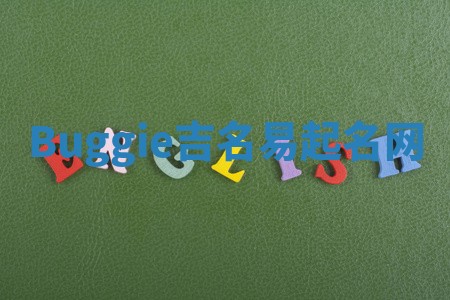 Buggie吉名易起名网