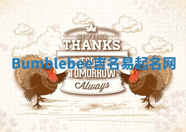 Bumblebee吉名易起名网