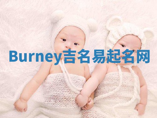 Burney吉名易起名网