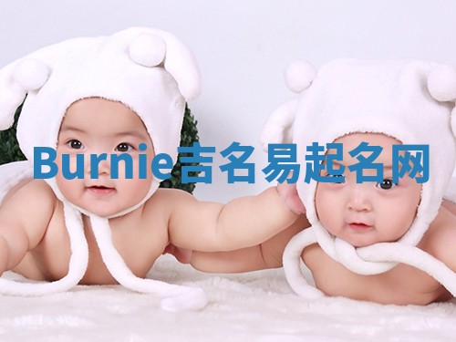 Burnie吉名易起名网