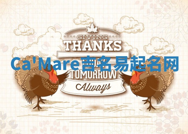 Ca'Mare吉名易起名网
