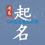 Cat吉名易起名网
