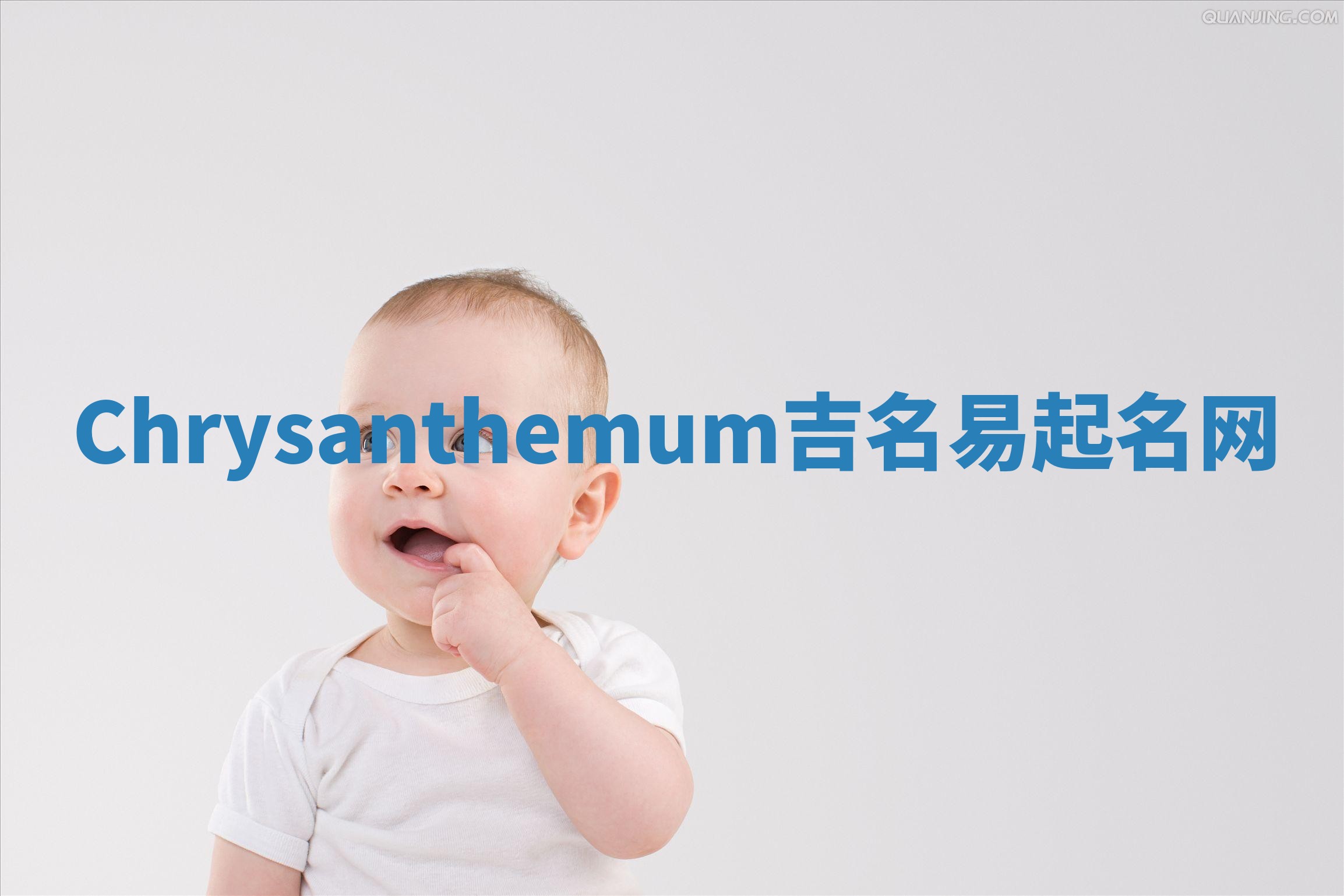Chrysanthemum吉名易起名网