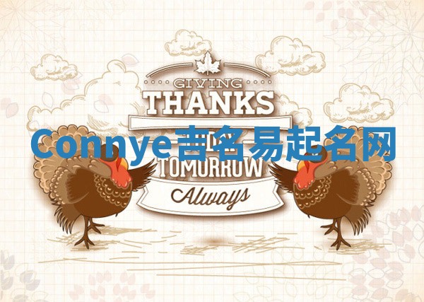 Connye吉名易起名网