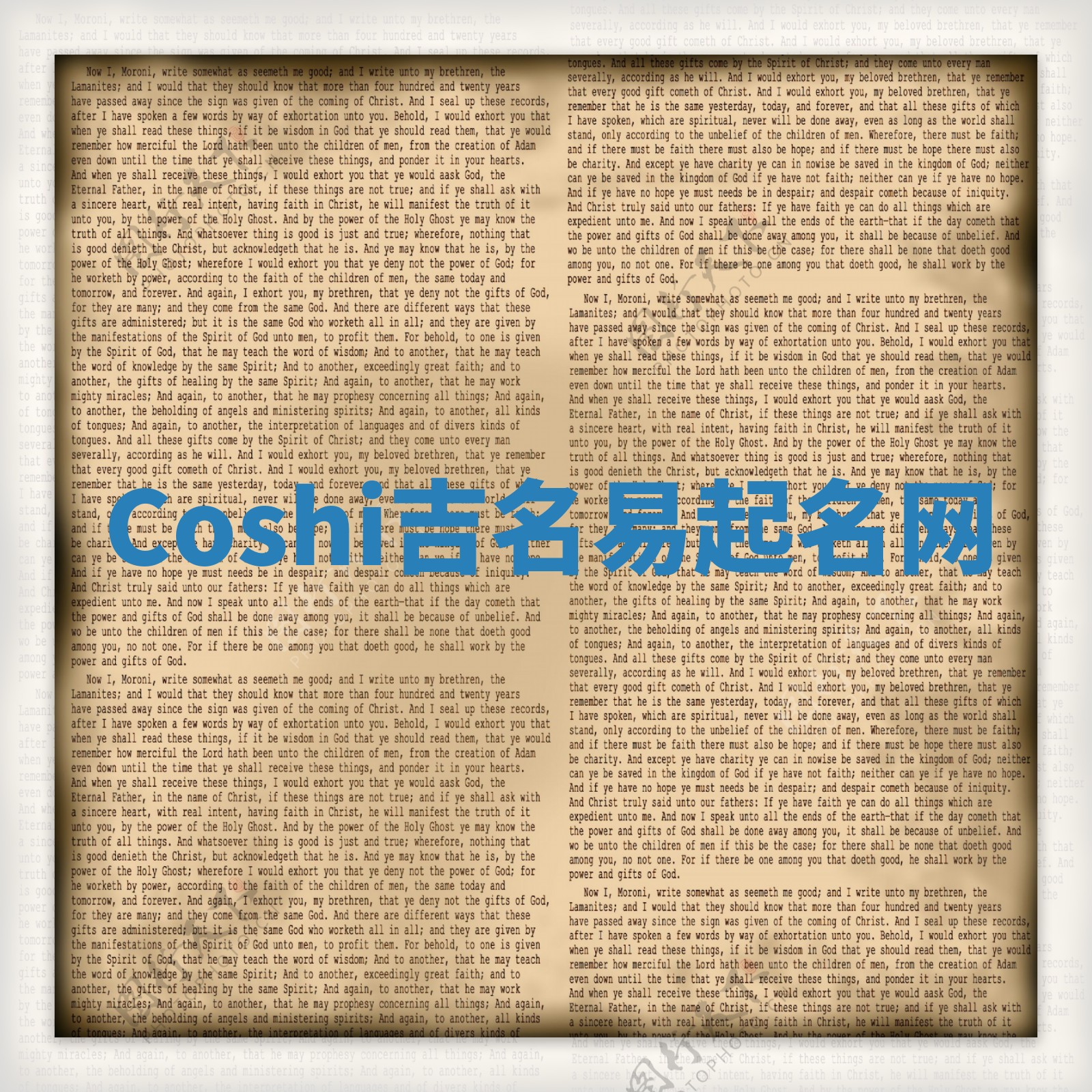 Coshi吉名易起名网