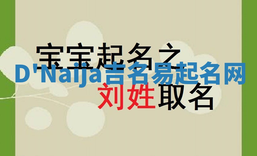 D'Naija吉名易起名网