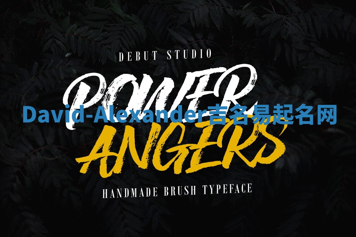 David-Alexander吉名易起名网