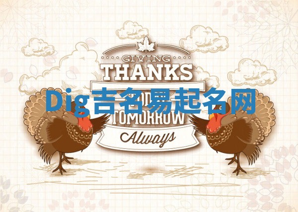 Dig吉名易起名网