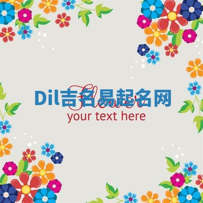 Dil吉名易起名网