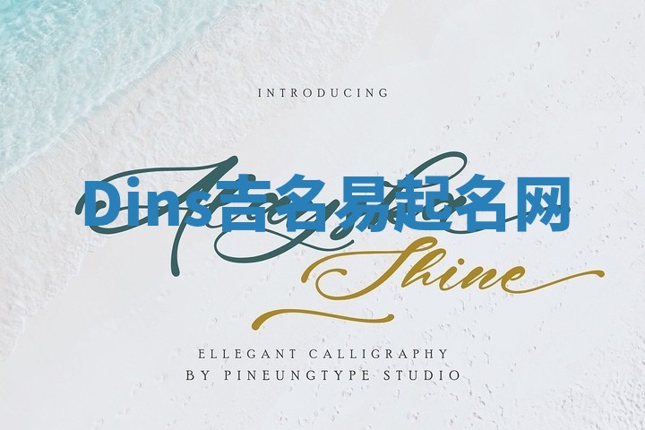 Dins吉名易起名网