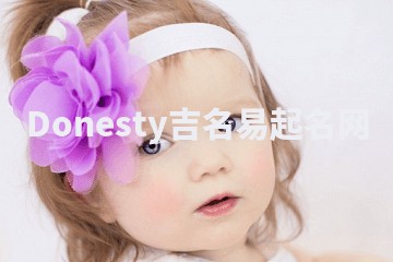 Donesty吉名易起名网