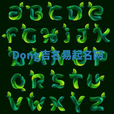 Dong吉名易起名网 Dong吉名易起名网